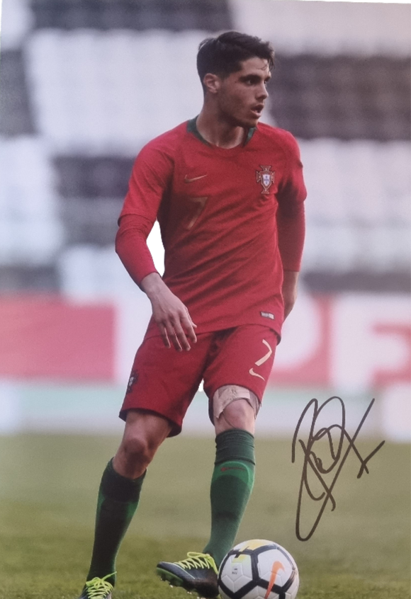 Pedro Neto Signed Portugal Photos