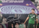 Raúl Jiménez Signed Mexico Photos