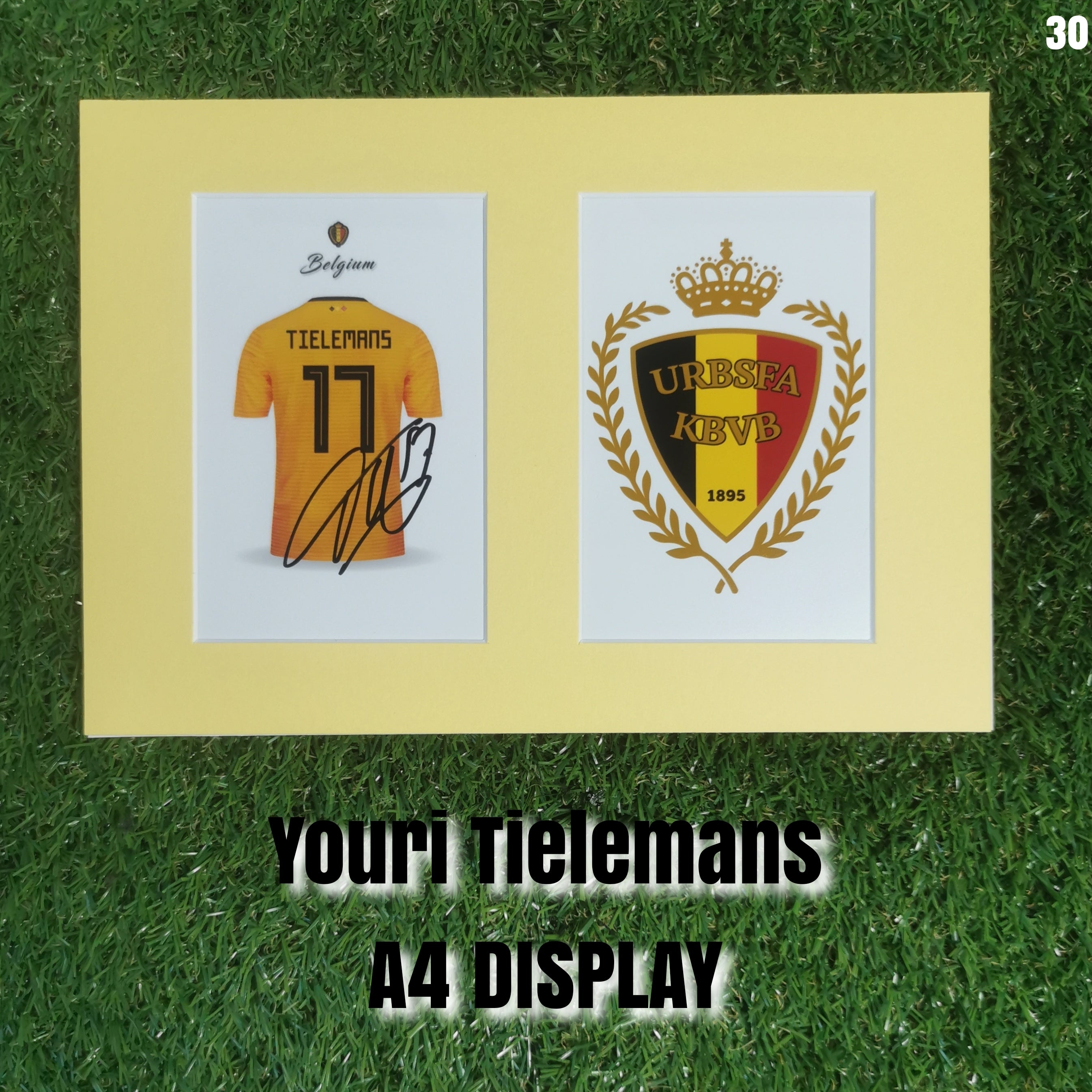 Youri Tielemans Signed Belgium Shirt & Crest Display - Yellow Mount - A4