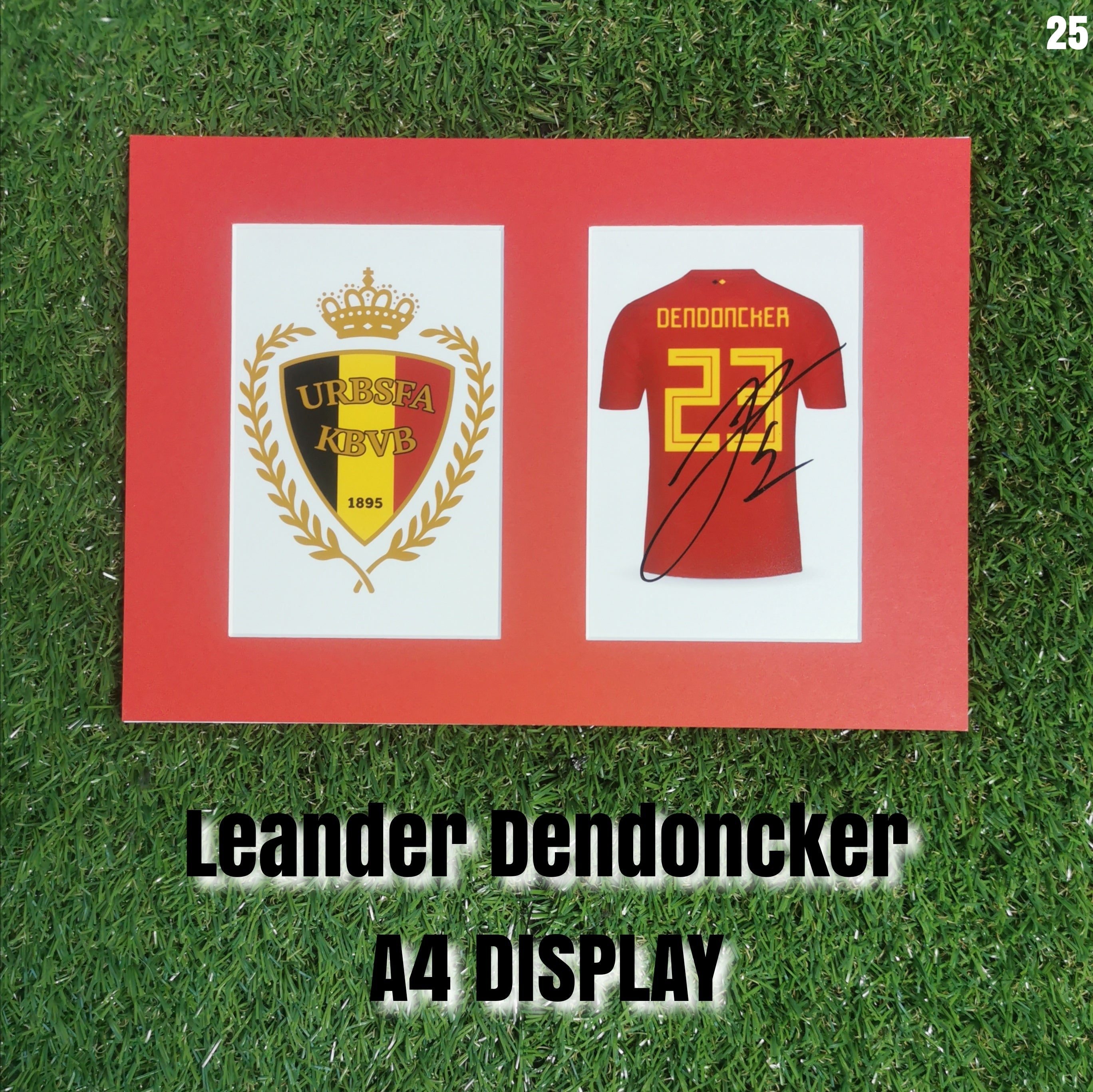 Leander Dendoncker Signed Belgium Shirt & Crest Display - Red Mount - A4