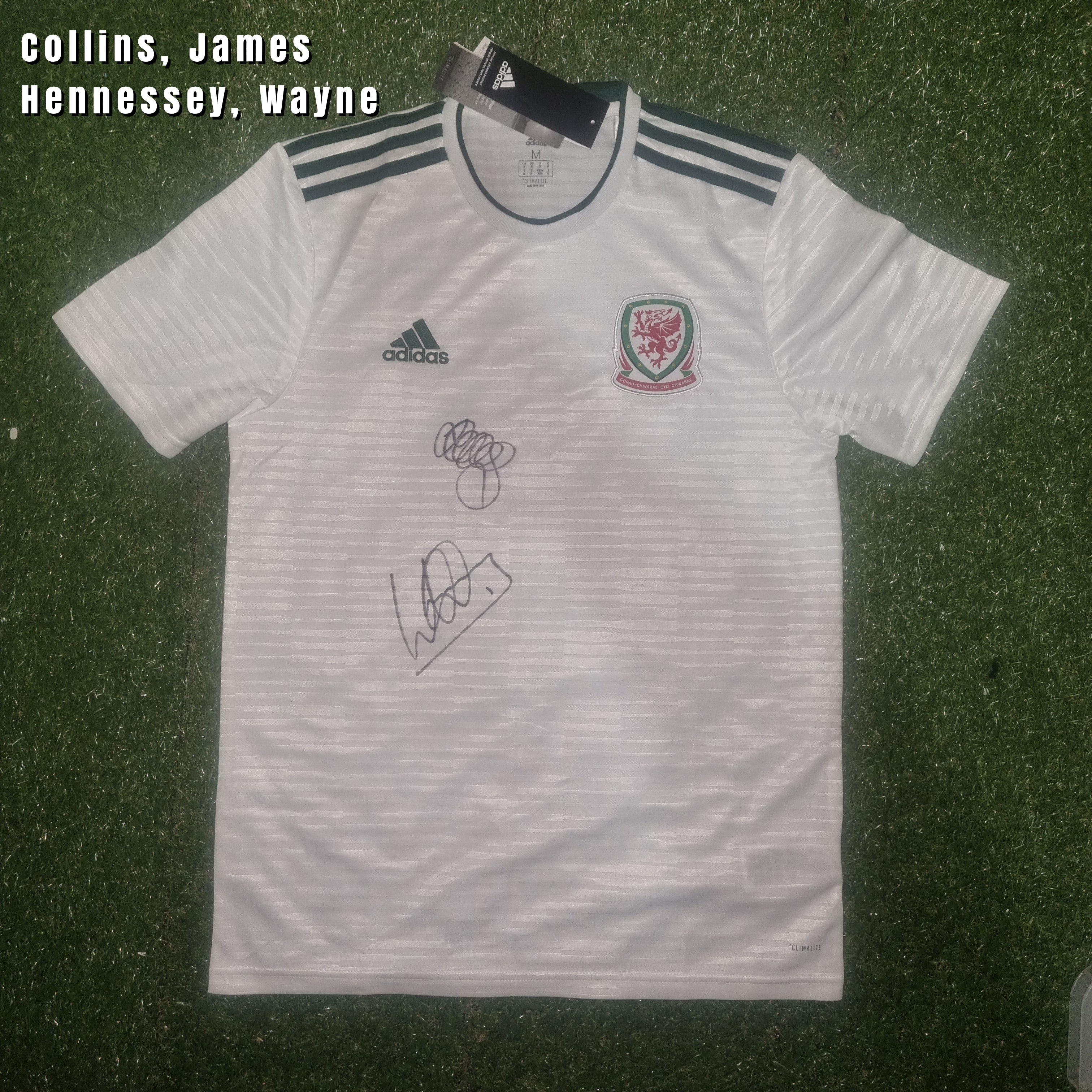 James Collins & Wayne Hennessey Multi-Signed 2018 Wales Away Shirt