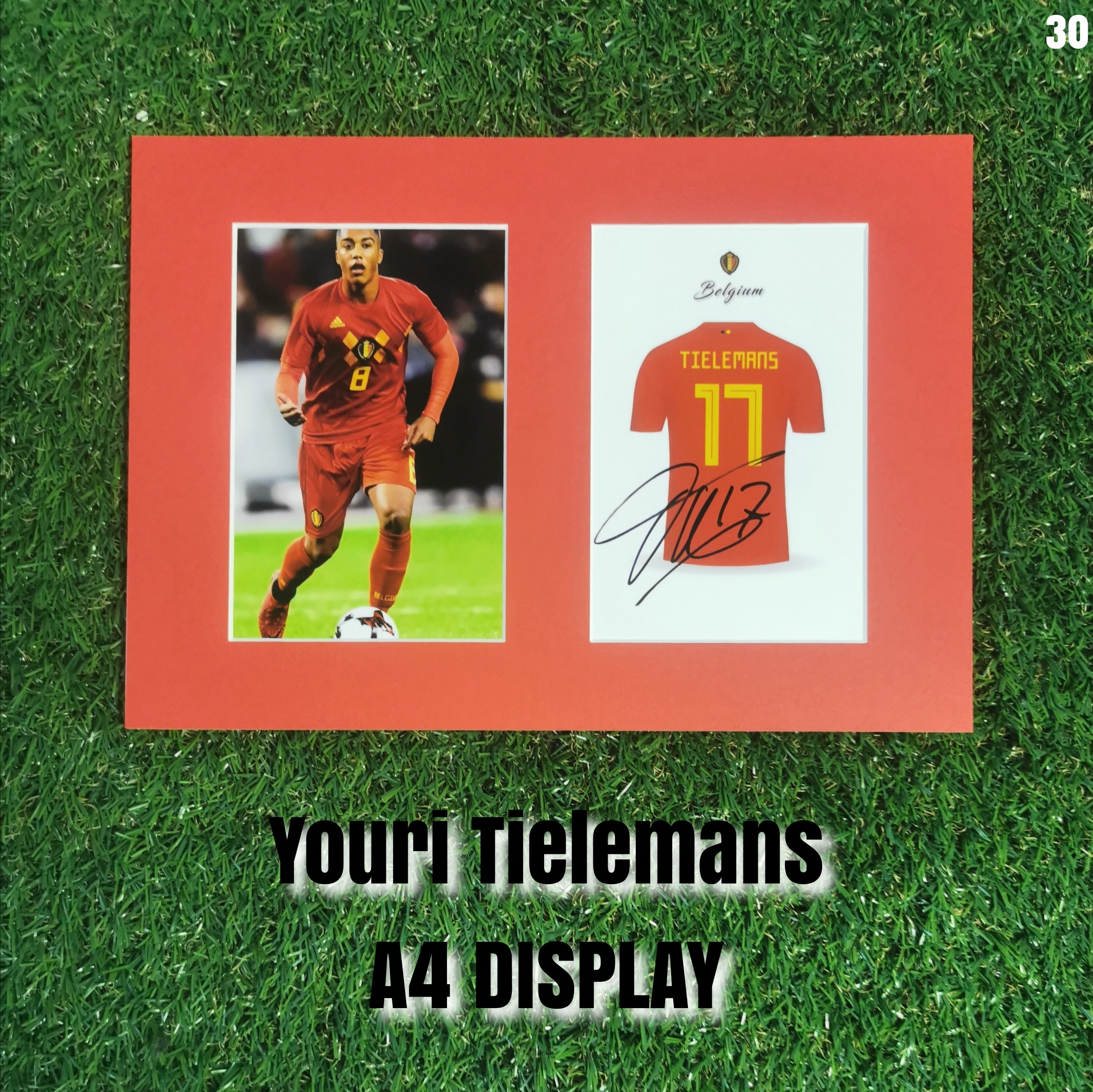 Youri Tielemans Signed Belgium Photo & Shirt Display - Red Mount - A4